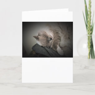 Días lentos, tarjeta