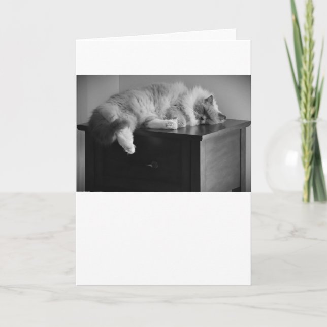 Días lentos, tarjeta (Anverso)