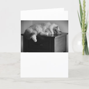 Días lentos, tarjeta