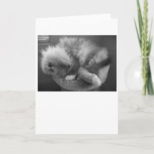 Días Lentos, tarjeta