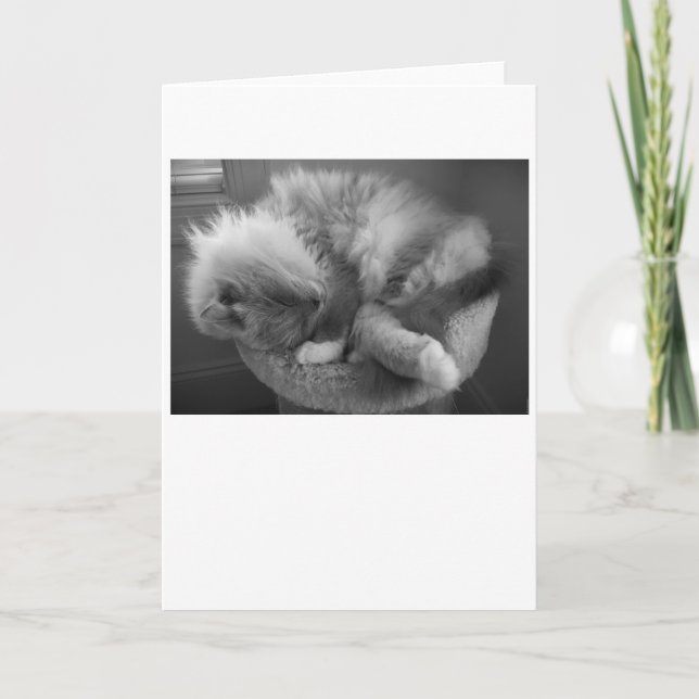 Días lentos, tarjeta (Anverso)