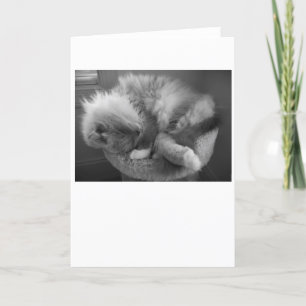 Días lentos, tarjeta