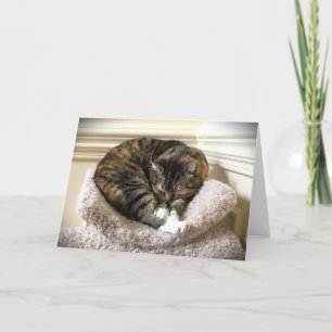 Días lentos, tarjeta