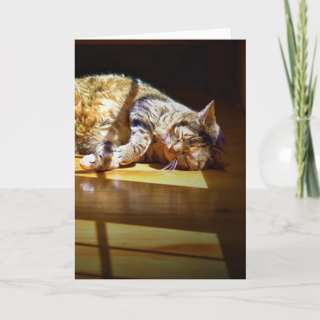 Días lentos, tarjeta (Anverso)