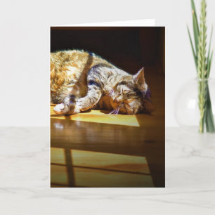 Días lentos, tarjeta