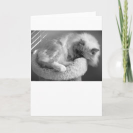 Días lentos, tarjeta