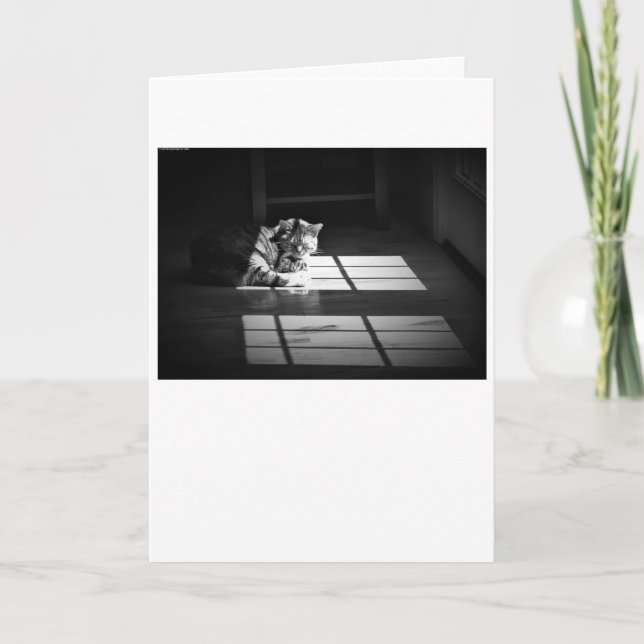 Días lentos, tarjeta (Anverso)