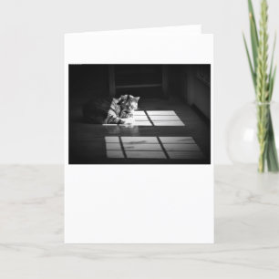 Días lentos, tarjeta