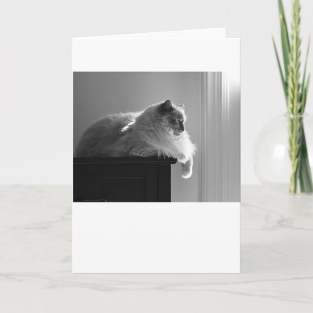 Días lentos, tarjeta (Anverso)