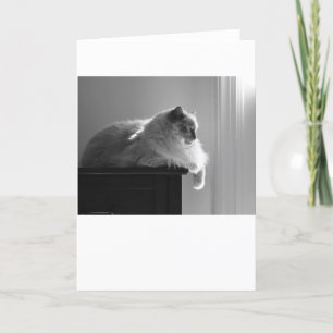 Días lentos, tarjeta