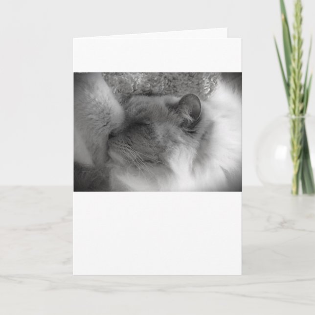 Días lentos, tarjeta (Anverso)