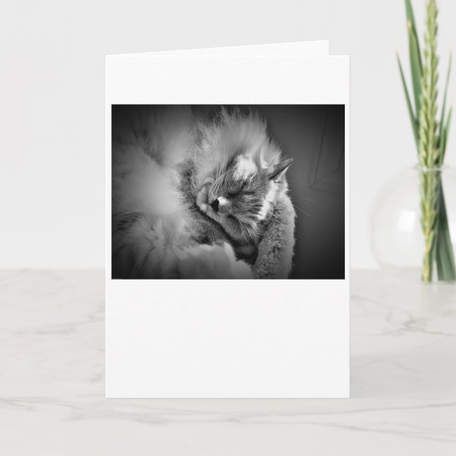 Días lentos, tarjeta (Anverso)