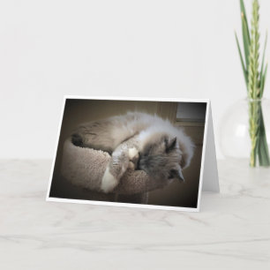 Días lentos, tarjeta