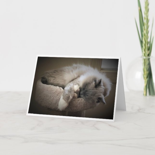 Días lentos, tarjeta (Anverso)