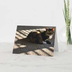 Días lentos, tarjeta