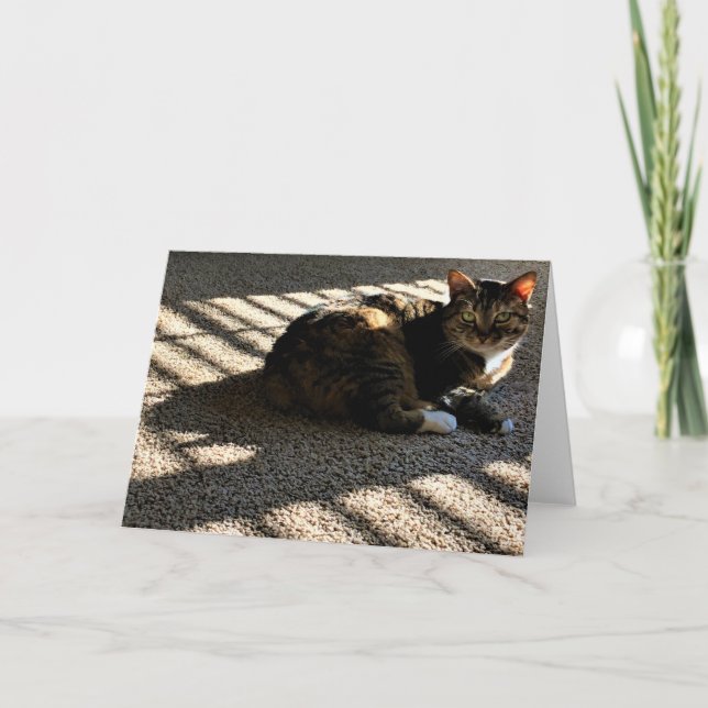 Días lentos, tarjeta (Anverso)