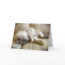 Días lentos, tarjeta