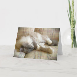 Días lentos, tarjeta