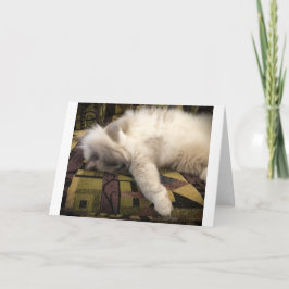 Días lentos, tarjeta