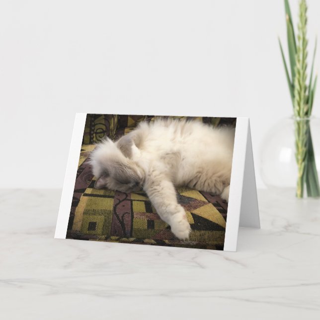 Días lentos, tarjeta (Anverso)