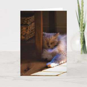 Días lentos, tarjeta