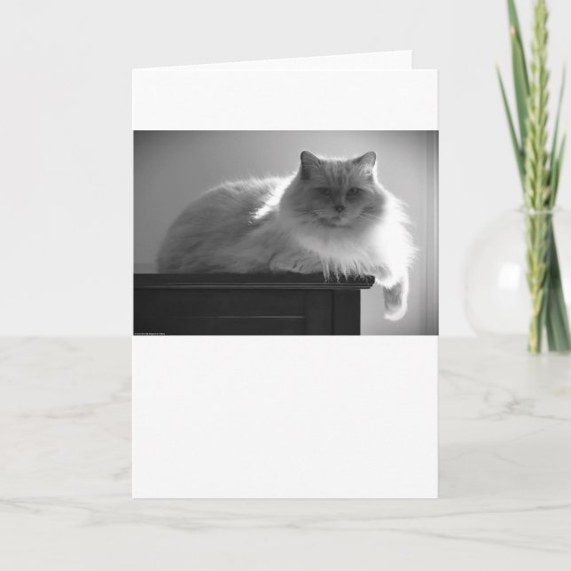 Días lentos, tarjeta (Anverso)