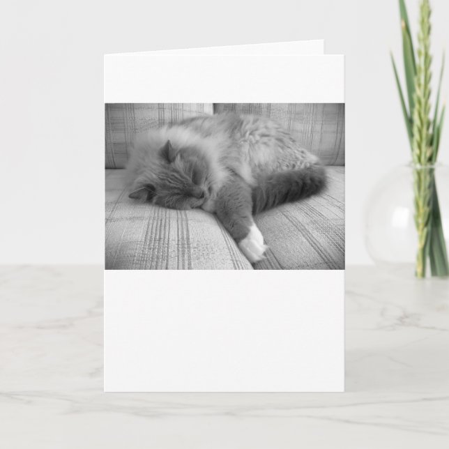 Días lentos, tarjeta (Anverso)