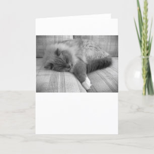 Días lentos, tarjeta