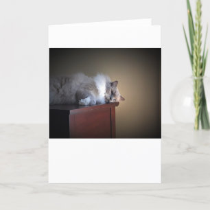 Días lentos, tarjeta