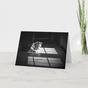 Días lentos, tarjeta