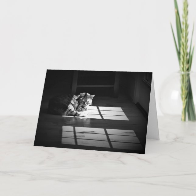 Días lentos, tarjeta (Anverso)