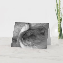 Días lentos, tarjeta