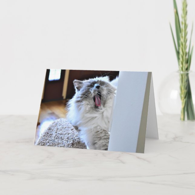 Días lentos, tarjeta (Anverso)