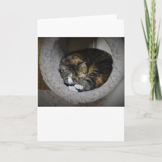 Días lentos, tarjeta (Anverso)