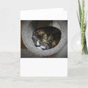 Días lentos, tarjeta