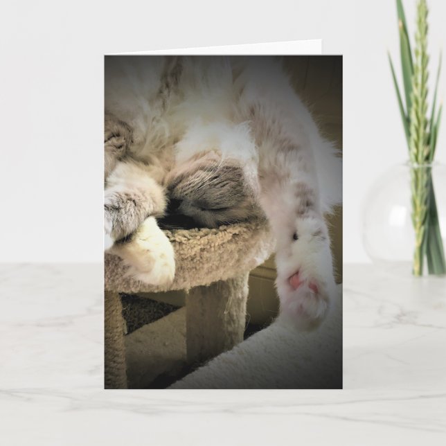 Días lentos, tarjeta (Anverso)