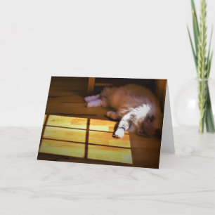 Días lentos, tarjeta