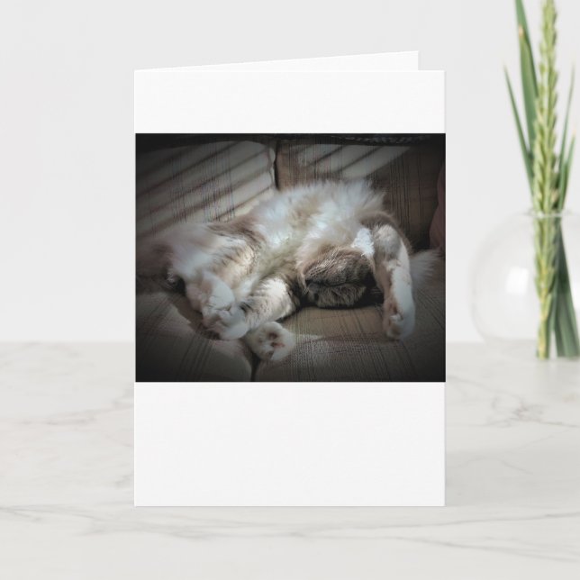 Días lentos, tarjeta (Anverso)