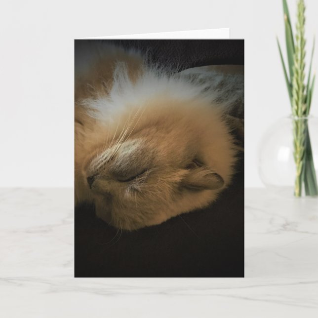 Días lentos, tarjeta (Anverso)