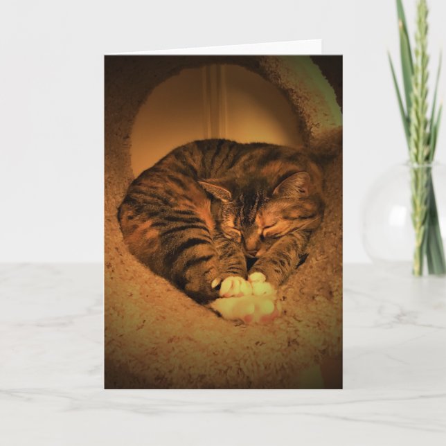 Días lentos, tarjeta (Anverso)