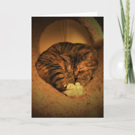 Días lentos, tarjeta