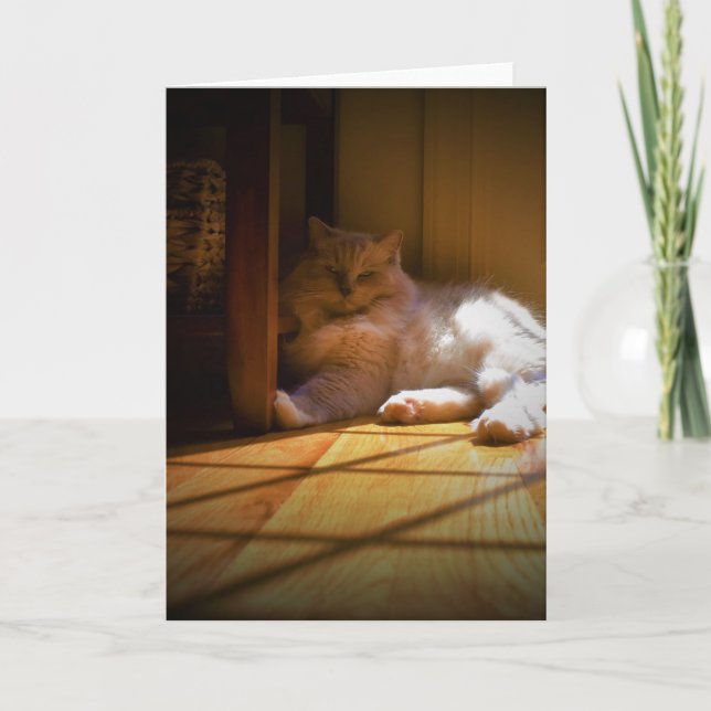 Días lentos, tarjeta (Anverso)