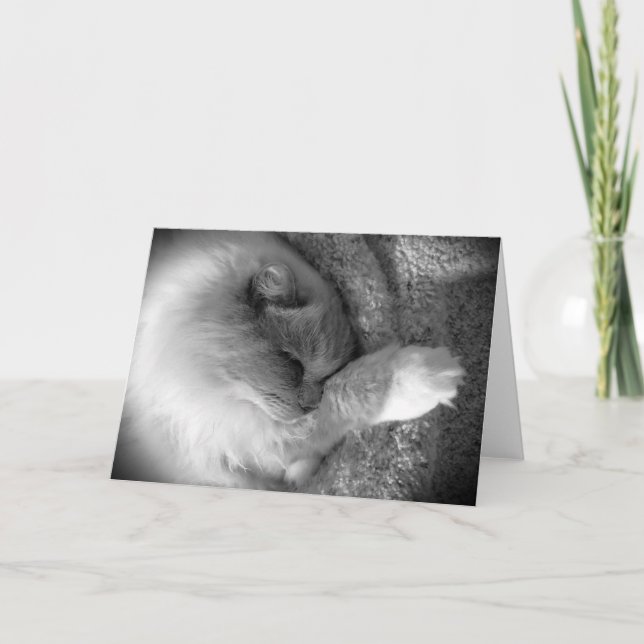 Días lentos, tarjeta (Anverso)