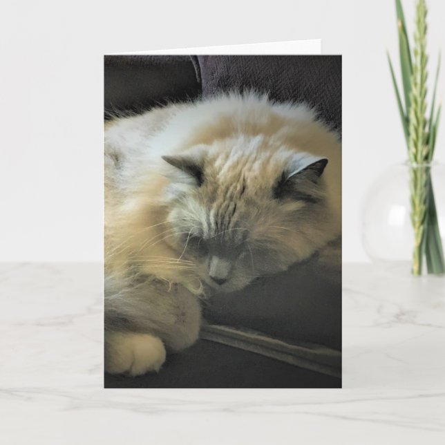 Días lentos, tarjeta (Anverso)