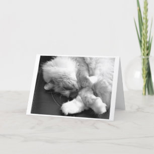 Días lentos, tarjeta