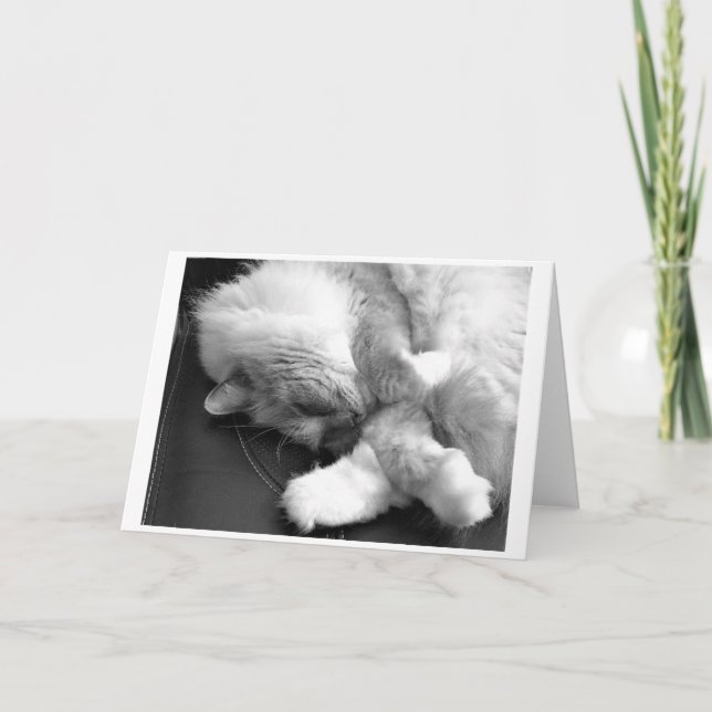 Días lentos, tarjeta (Anverso)