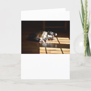 Días lentos, tarjeta