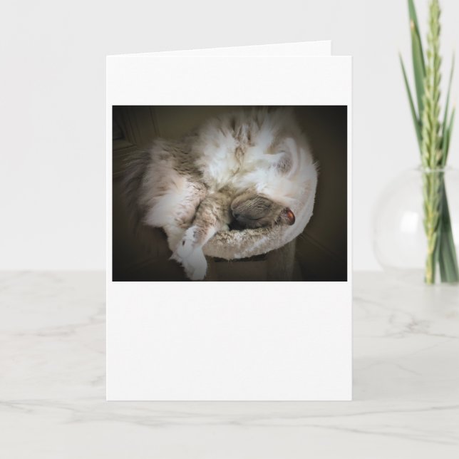 Días lentos, tarjeta (Anverso)