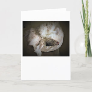 Días lentos, tarjeta