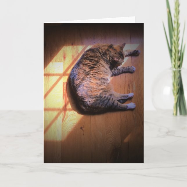 Días lentos, tarjeta (Anverso)